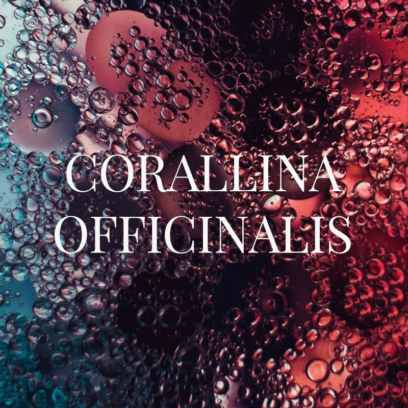CORALLINA